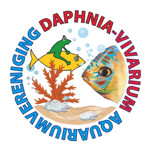 Daphnia-Vivarium